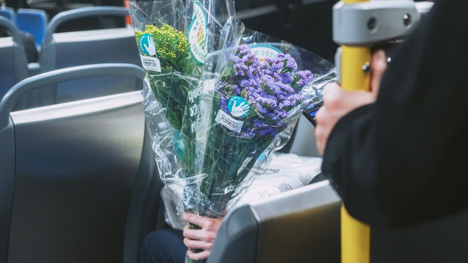 A person seated in a transportation setting holding a large bouquet of fresh purple flowers, including clusters of small, vibrant violet blooms and green foliage, wrapped in clear plastic with a label